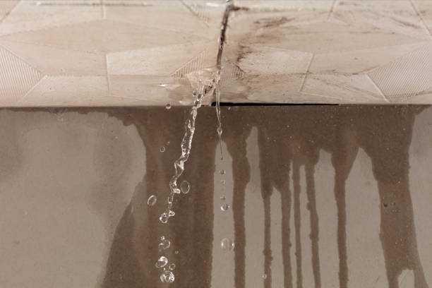 Professional Structural Drying technician working in Gilmore, AR